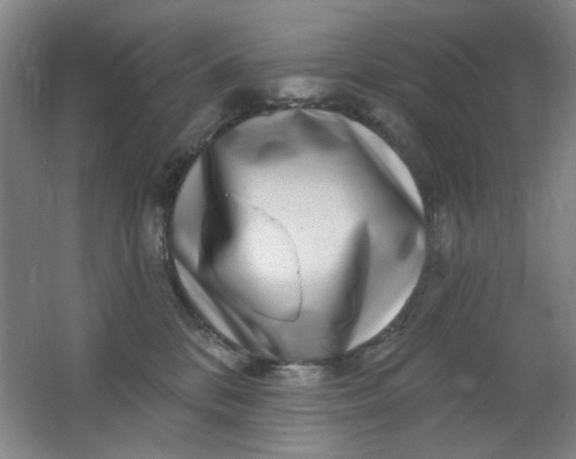 X0000062140328200512231512