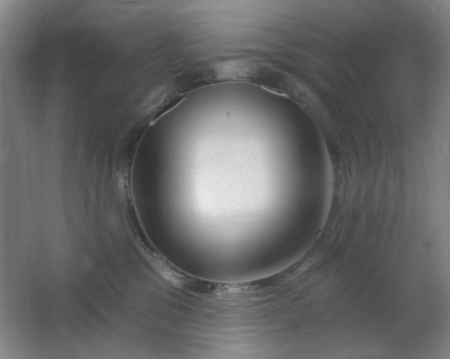 X0000062140329200512231512