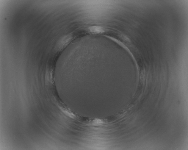 X0000062140330200512231512