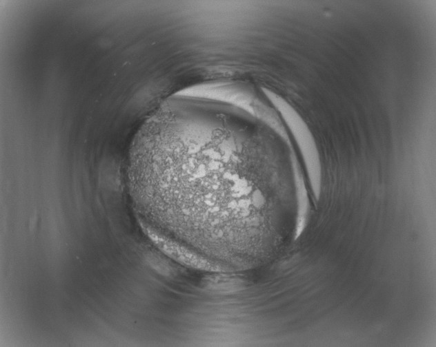 X0000062140331200512231512