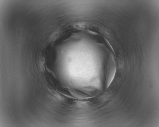 X0000062140332200512231512