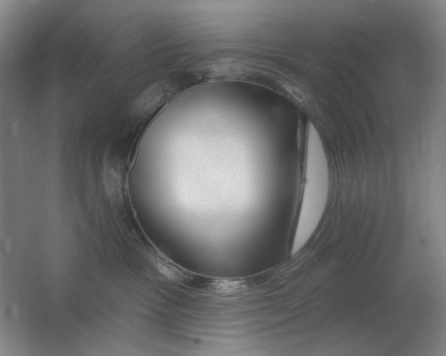 X0000062140333200512231512