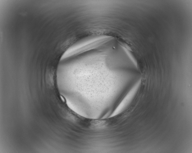 X0000062140334200512231512