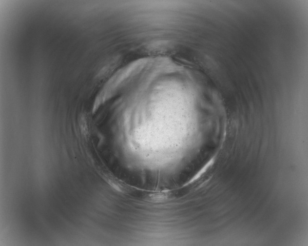 X0000062140335200512231512