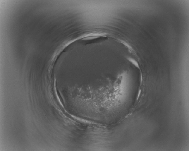 X0000062140337200512231511