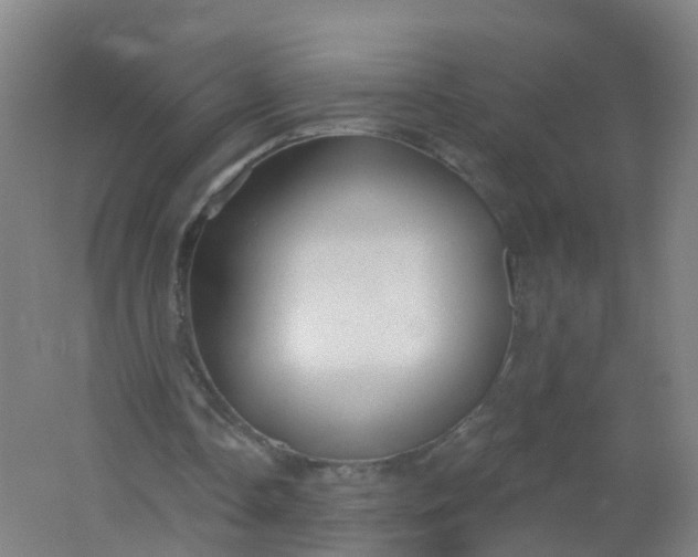 X0000062140338200512231511