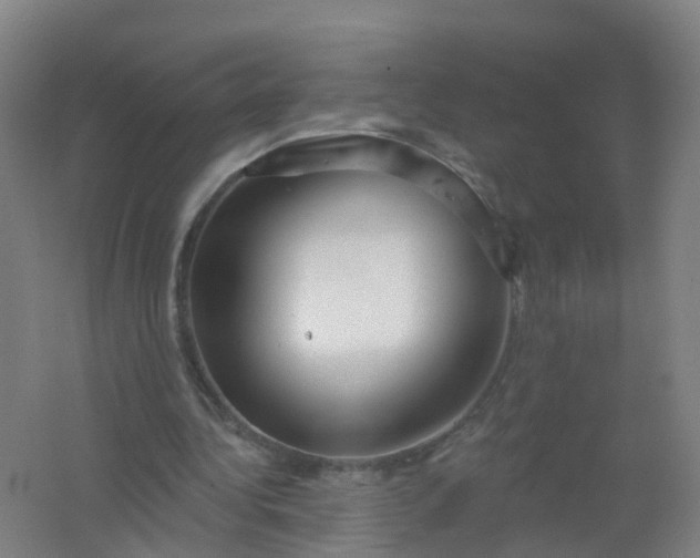 X0000062140340200512231511