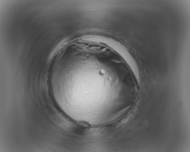 X0000062140341200512231511