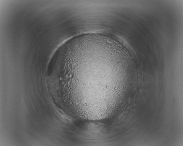 X0000062140346200512231511