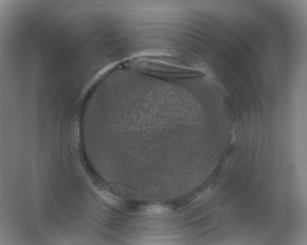 X0000062140348200512231511