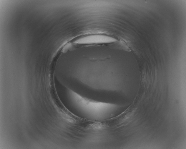 X0000062140351200512231511