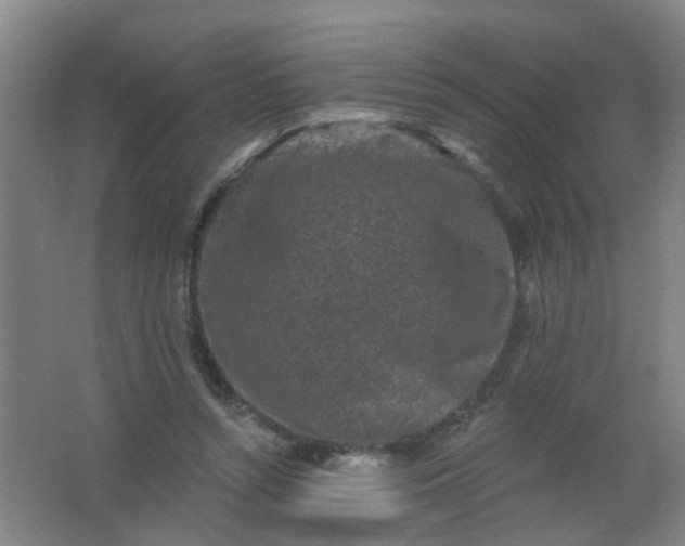 X0000062140352200512231511