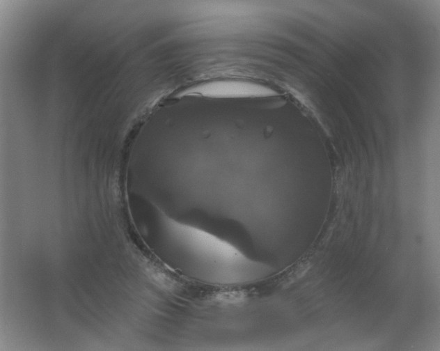 X0000062140353200512231511