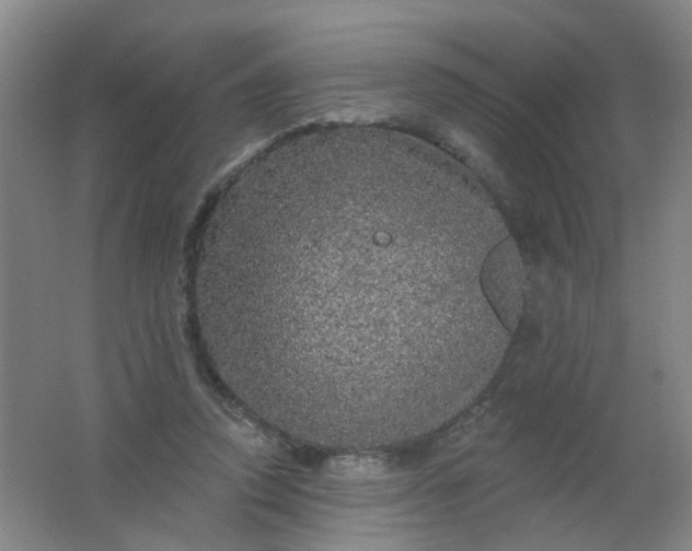 X0000062140354200512231511