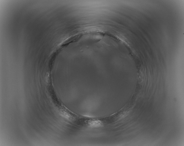 X0000062140355200512231511