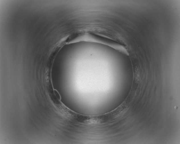 X0000062140356200512231511