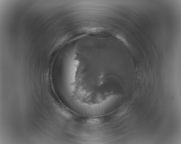 X0000062140357200512231511