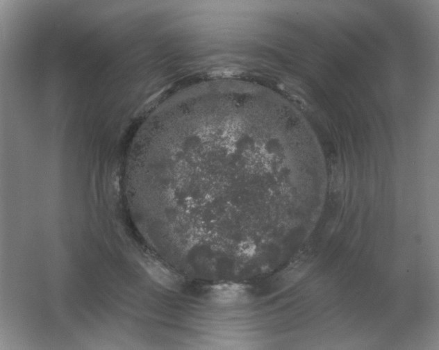 X0000062140363200512231511