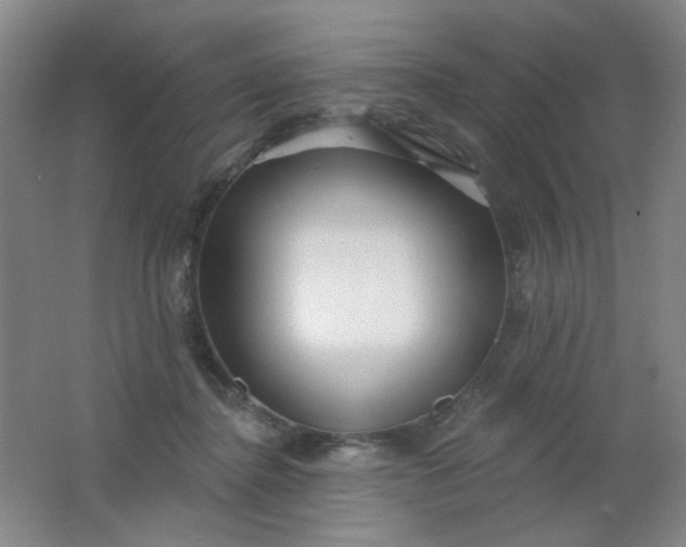 X0000062140364200512231511