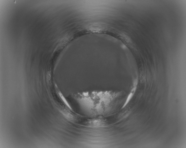 X0000062140365200512231511