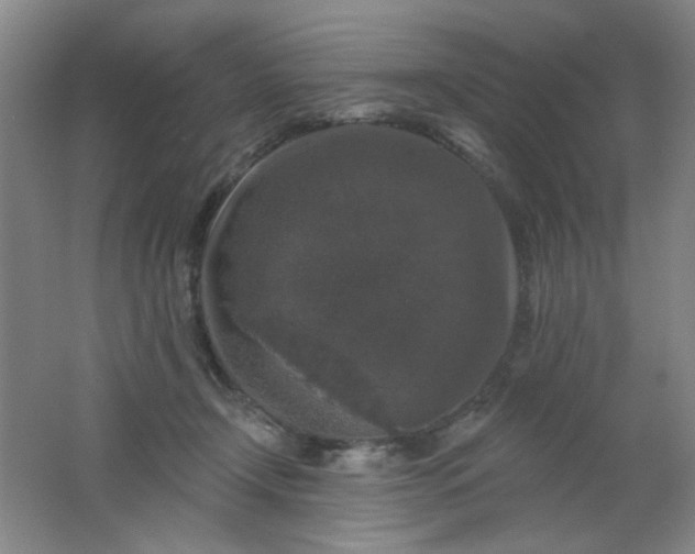 X0000062140366200512231511