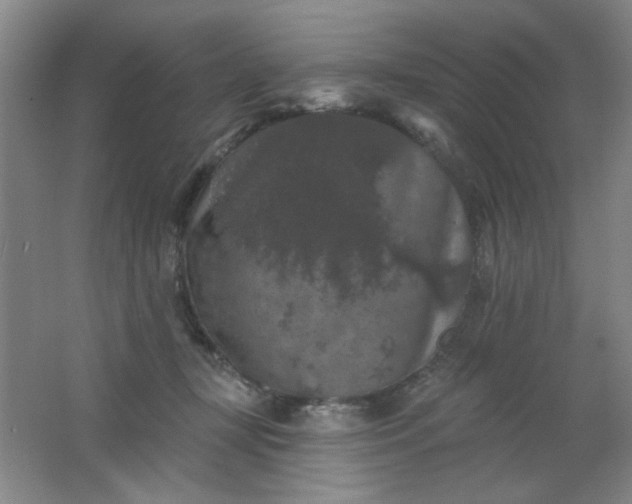 X0000062140367200512231511