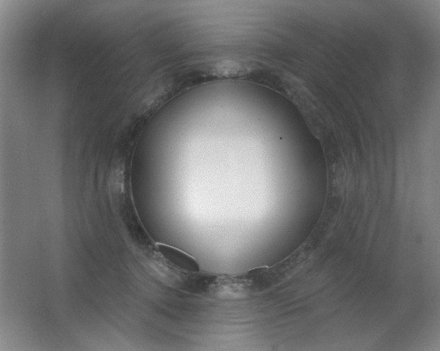 X0000062140368200512231511