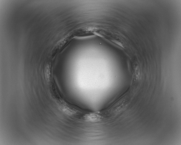 X0000062140372200512231511