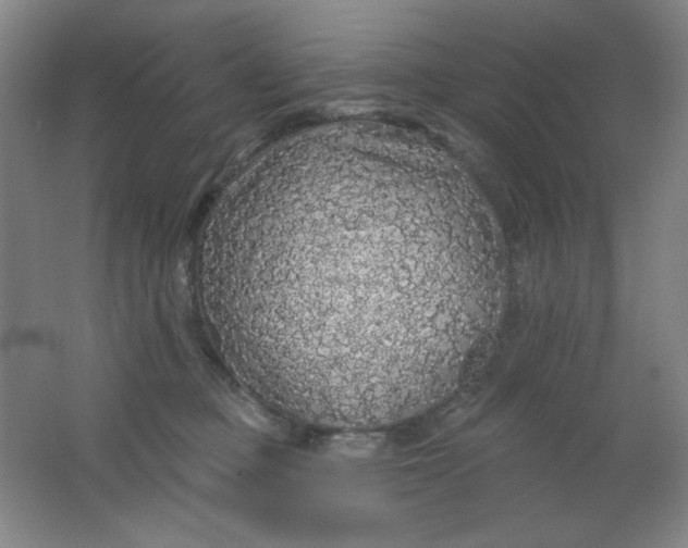 X0000062140373200512231511