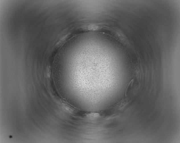 X0000062140374200512231511