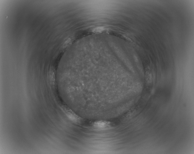 X0000062140375200512231511