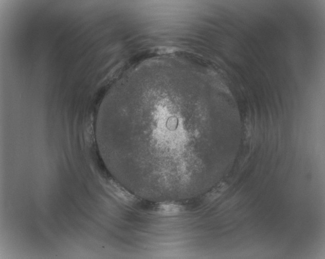 X0000062140376200512231511