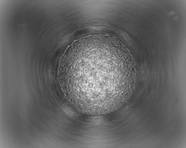 X0000062140377200512231511