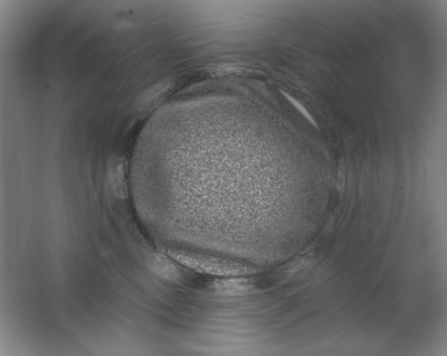 X0000062140378200512231512