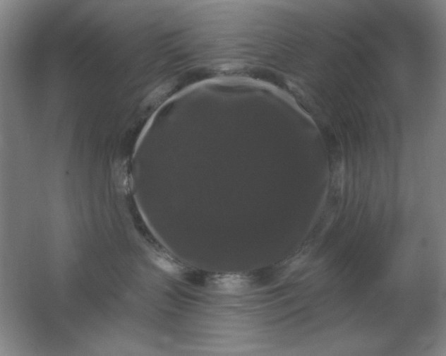 X0000062140383200512231512