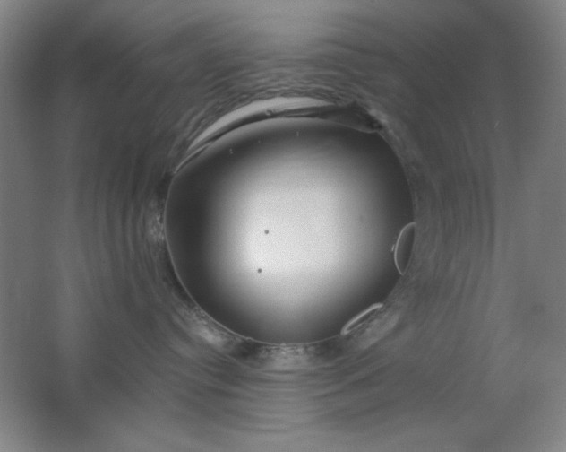 X0000062140384200512231512