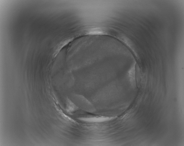 X0000062140385200512231511