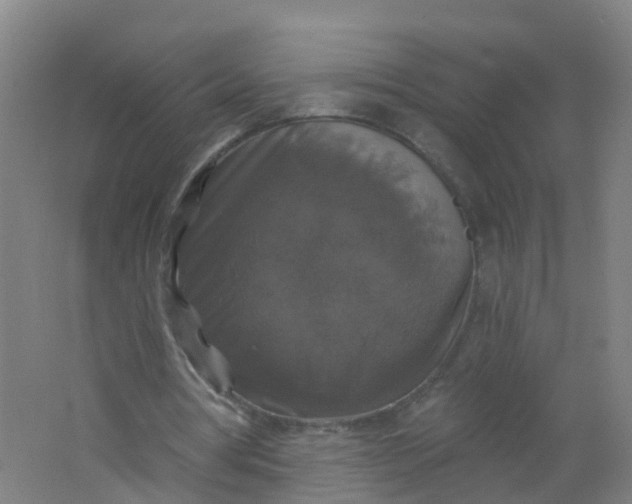 X0000062140386200512231511