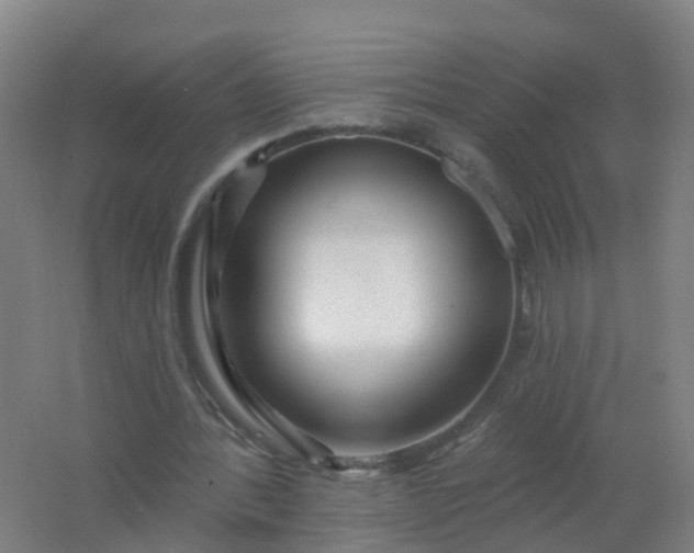 X0000062140388200512231511