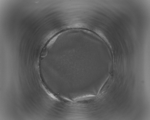 X0000062140389200512231511