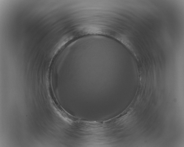 X0000062140390200512231511