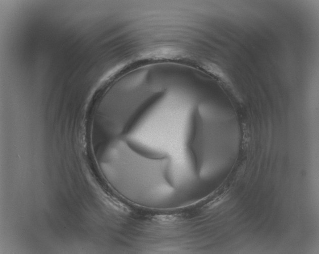 X0000062140392200512231511