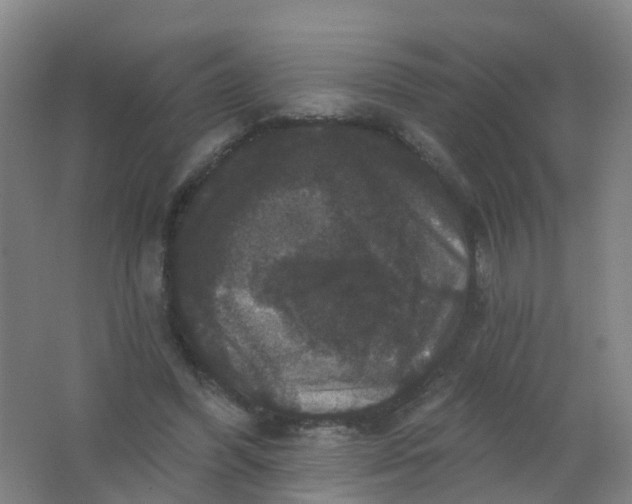 X0000062140396200512231511