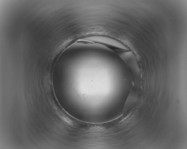 X0000062140397200512231511