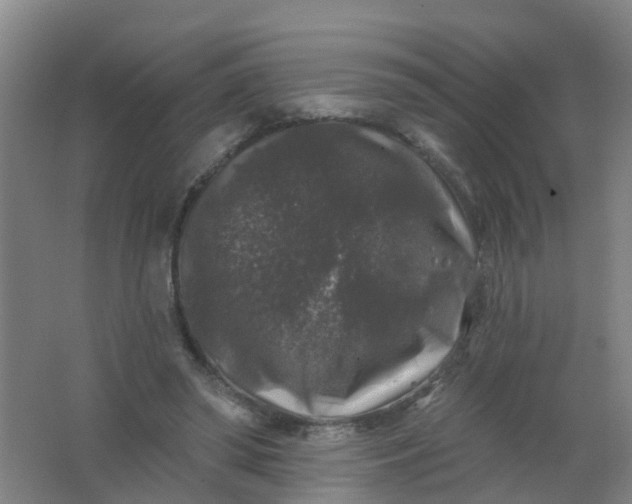 X0000062140398200512231511