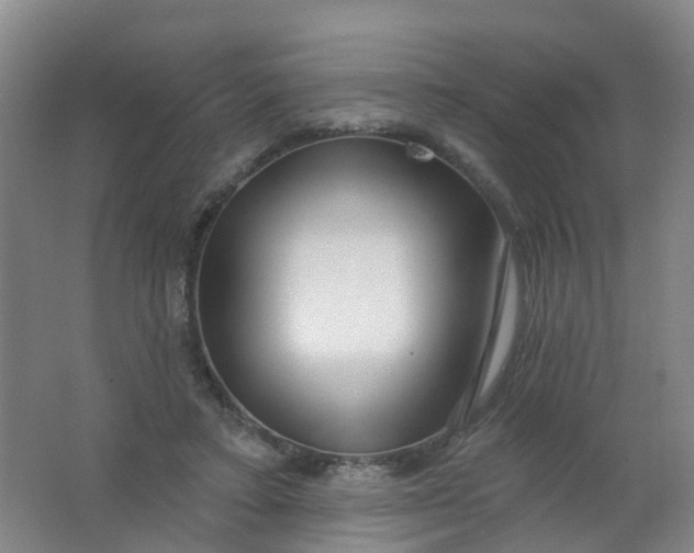 X0000062140403200512231510