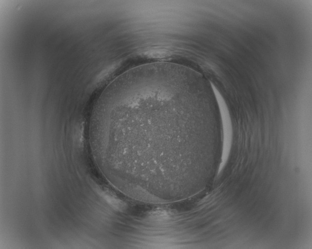 X0000062140404200512231510