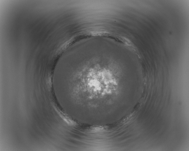 X0000062140405200512231510