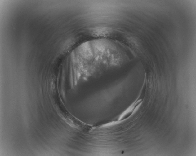 X0000062140408200512231510