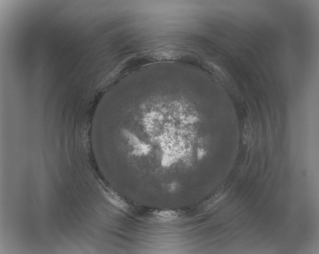 X0000062140409200512231510